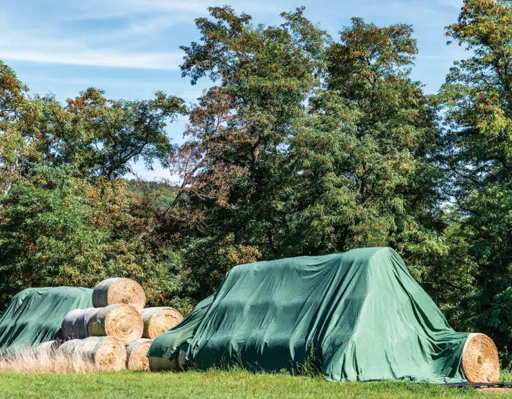 Telo Telone Verde Occhiellato Antistrappo Impermeabile per coperture Polietilene Multiuso