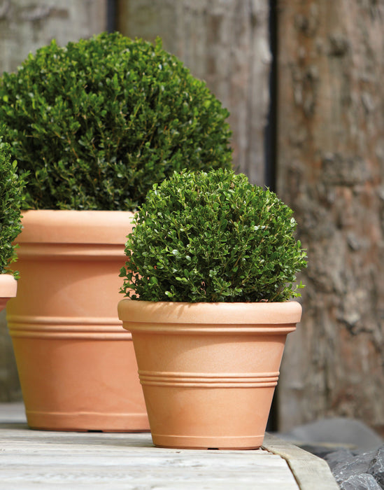Vaso + Sottovaso in Resina Doppio Bordo Liscio Color Terracotta Impruneta 35, 45, 55, 75 cm