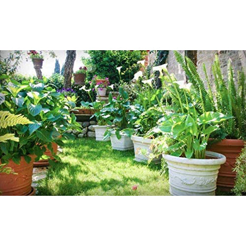 Vaso Festonato Tondo in Resina con Doppio Bordo per Giardini terrazzi Balconi Antiurto