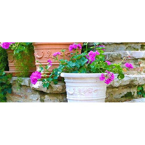 Vaso Festonato Tondo in Resina con Doppio Bordo per Giardini terrazzi Balconi Antiurto
