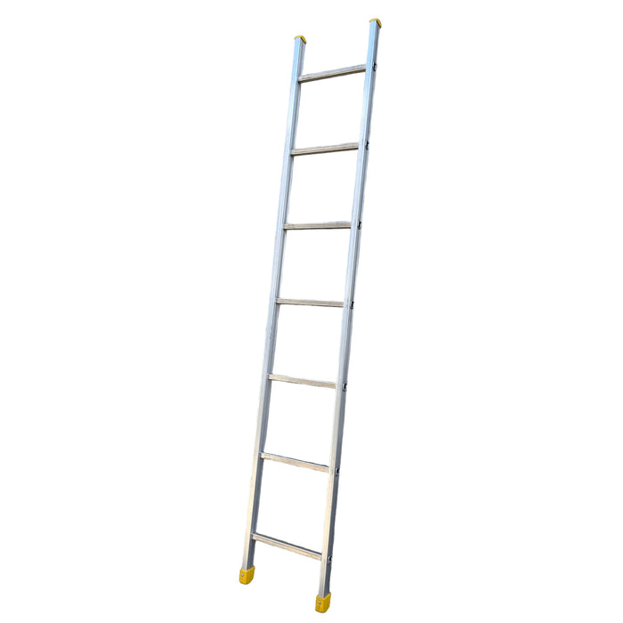 Scala in alluminio industriale singola semplice da Appoggio per agricoltura Parallela a Pioli