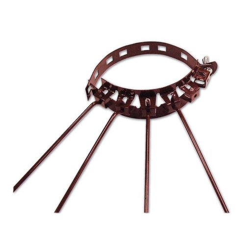 51700_12165_61379_50041ce5-9093-4dd2-99e0-3e31951541a9.jpeg