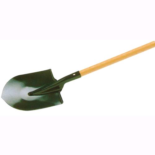 326009_187045_671555.jpeg