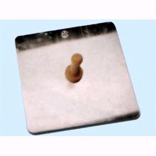 Sparviero con manico Ancora Art. 890 - 33x33 cm. Conf. 6 Pz