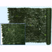 421497_193539_1764597.jpeg