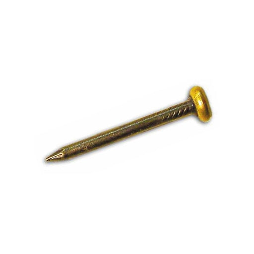 14255_20696_123361.jpeg