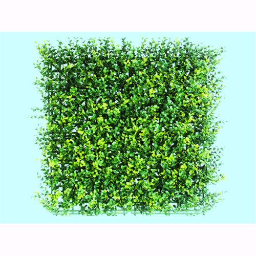 Siepi Squaregreen Bosso Green