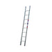 LM-103428_355209_1688649.jpeg