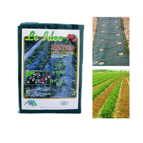 Telo Pacciamatura A Fori Sfalsati 'Senzerba'  Mt 1,2 X 10 - Distanza Fori 30 Cm