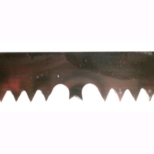 CP-4258_409914_1934497.jpeg