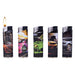 ACCENDINO 'Sport Cars'