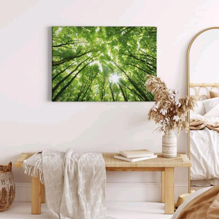 Canvas Stampato Alta risoluzione 70x70 cm ALBERO Telaio in Legno Tela in cotone